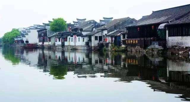 救援淘气的小狗